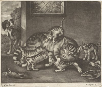 Cat with Five Kittens by Jan Griffier (I)