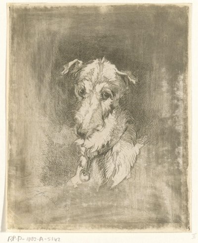 Head of a Greyhound by Jan Karel Jacob de Jonge