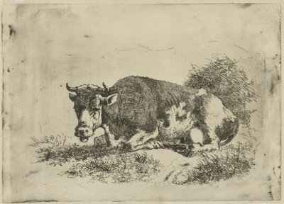 Lying Cow by Jan Kobell (III)