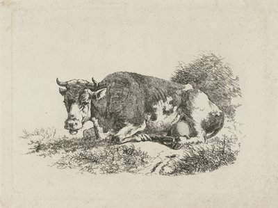 Lying Cow by Jan Kobell (III)