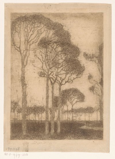 Trees at the Edge of Oranjewoud by Jan Mankes