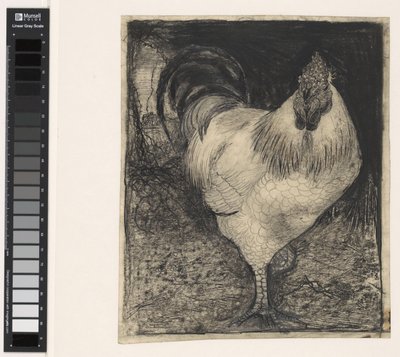Rooster on One Leg by Jan Mankes