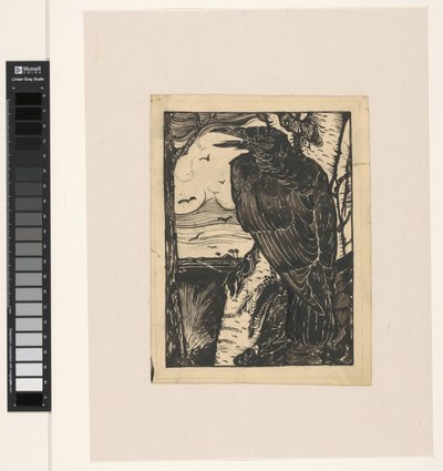Raven on Birch Tree by Jan Mankes