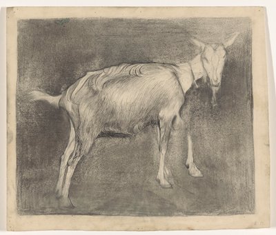 Standing Goat by Jan Mankes
