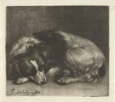 Sleeping Dog, Possibly a Spaniel by Jan Verkolje (I)