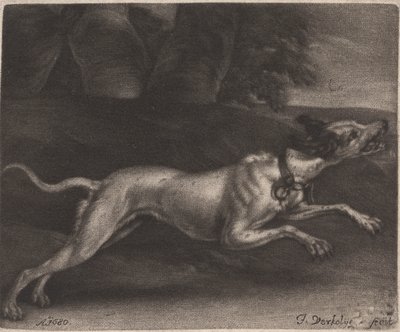 A Running Dog by Jan Verkolje