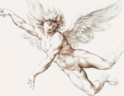 Naked Male Flying Angel by Jan de Bisschop