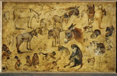 Animal Studies by Jan the Elder Brueghel