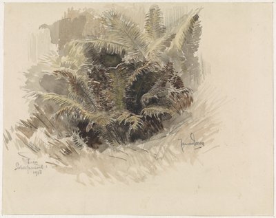 Royal Fern in a Garden in Scherpenzeel by Jan van Essen