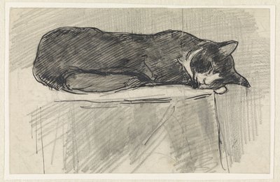 Sleeping Cat by Jan van Essen