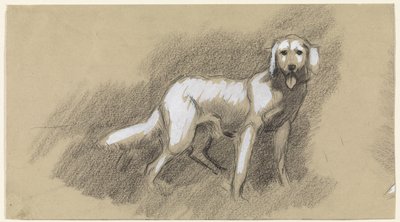 Standing Dog by Jan van Essen