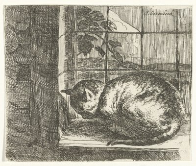 Cat in the Window Frame by Jan van Ossenbeeck