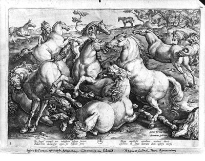 Horses in the Wild by Jan van der Straet