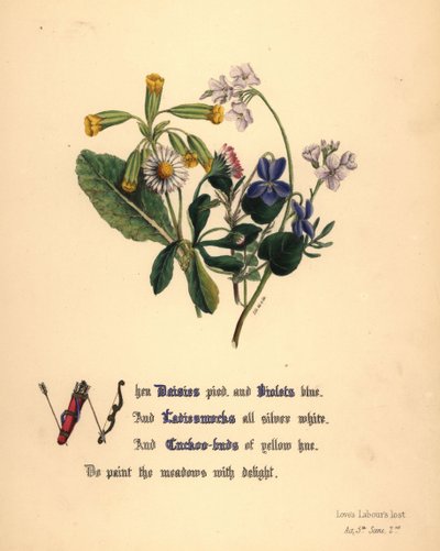 Daisies, Violets, Ladiesmocks and Cuckoo-buds by Jane Elizabeth Giraud
