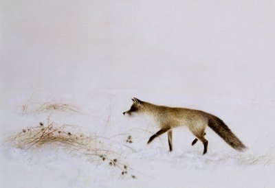 Fox in Snow by Jane Neville