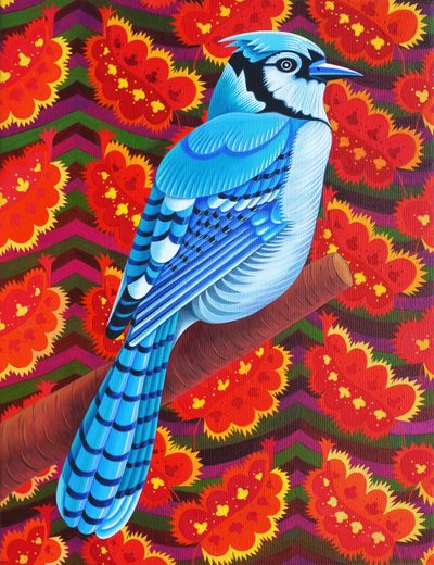 Blue Jay, 2016 by Jane Tattersfield