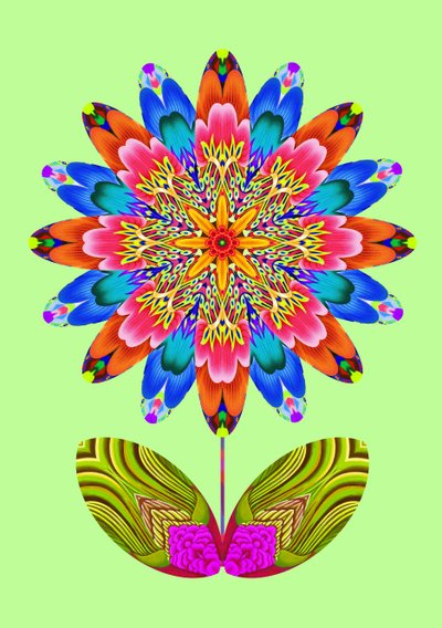 Flower Cutout on Pale Green, 2020 by Jane Tattersfield