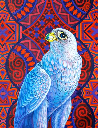 Grey Falcon by Jane Tattersfield