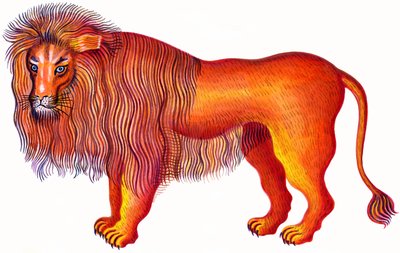 Leo the Lion by Jane Tattersfield