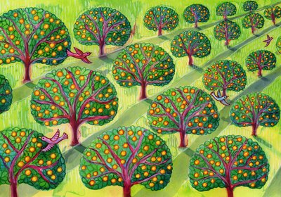 Orchard by Jane Tattersfield