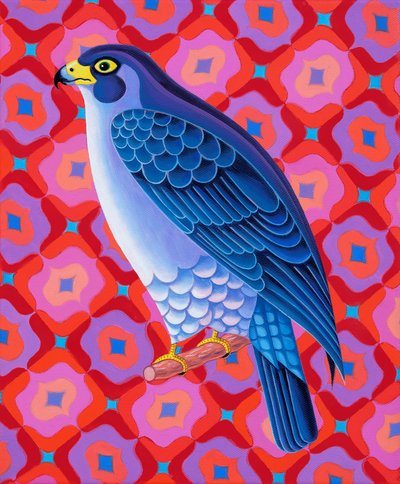 Peregrine Falcon by Jane Tattersfield