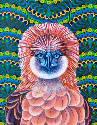 Philippine Eagle, 2020 by Jane Tattersfield