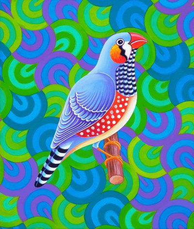 Zebra Finch, 2023 by Jane Tattersfield