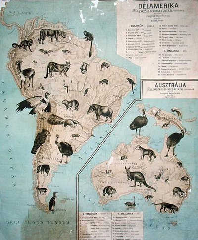 Map of animals in South America & Australia by Janos Balint