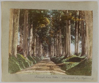 Imaichi Road, Nikko, Japan by Japanese Photographer