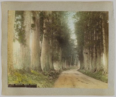 Imaichi Road, Nikko, Japan by Japanese Photographer