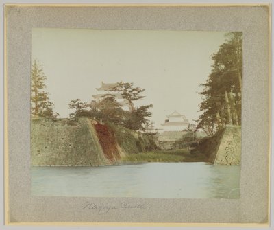 Nagoya Castle, Japan by Japanese Photographer