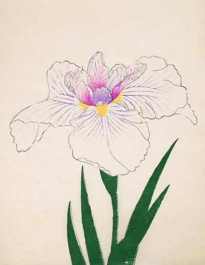Akashi-no-Ul, no.10, 1898 by Japanese School