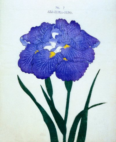 Asa-Zuma-Bune, no.7, 1898 by Japanese School
