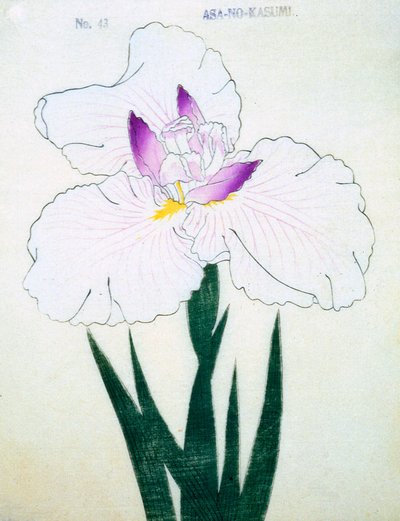 Asa-no-Kasumi, no.43, 1898 by Japanese School
