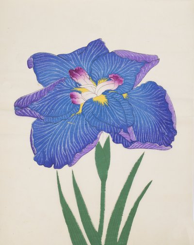 Azumabotan, No. 89, 1890 by Japanese School