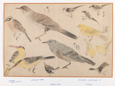 Birds in Okyo Style by Japanese School