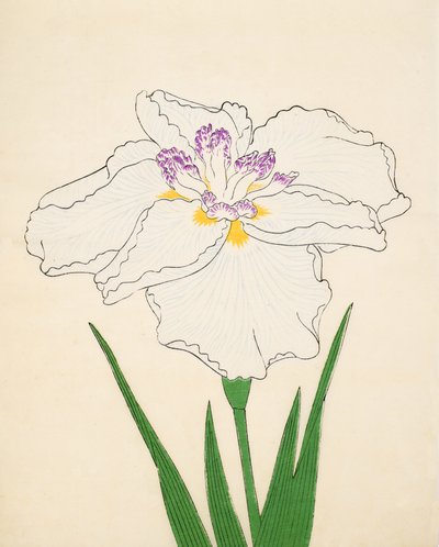 Cho-Hiyen, No. 91, 1890 by Japanese School