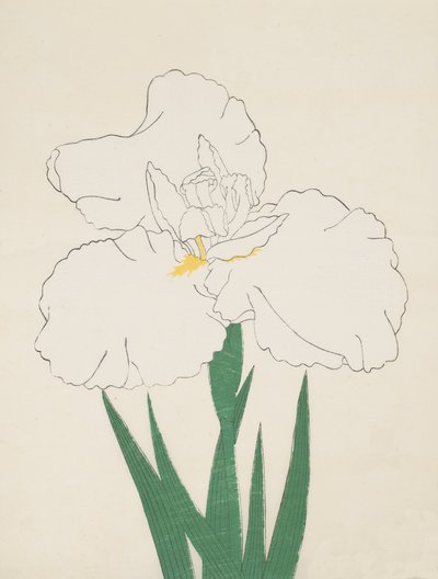 Fuji-No-Yuki, No. 13, 1890 by Japanese School