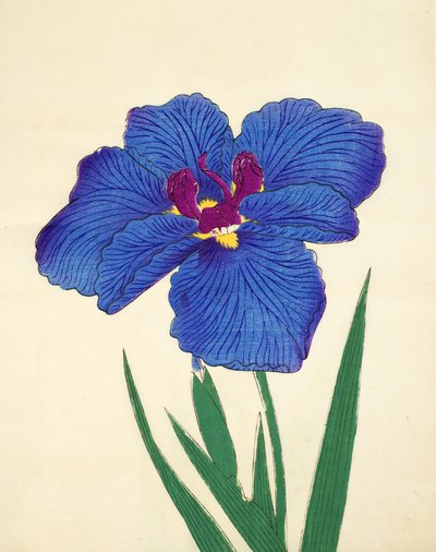 Gosetsu-no-Mai, no.9, 1898 by Japanese School