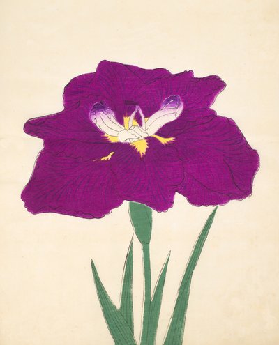 Hizume-no-Hyoshi, no.29, 1898 by Japanese School