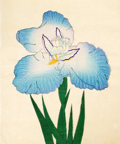 Irojiman, No. 80, 1890 by Japanese School