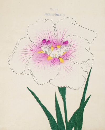 Misuji-no-Ito, no.17, 1898 by Japanese School