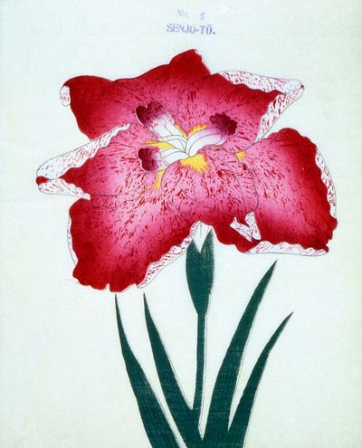 Senjo-To, no.5, 1898 by Japanese School