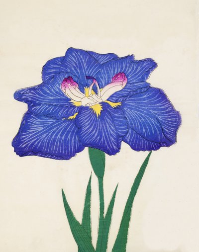 Shiga-no-Uranami, no.3, 1898 by Japanese School