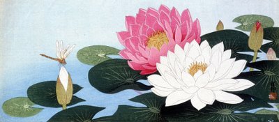 Water lilies and dragonfly - Japanese print by Japanese School