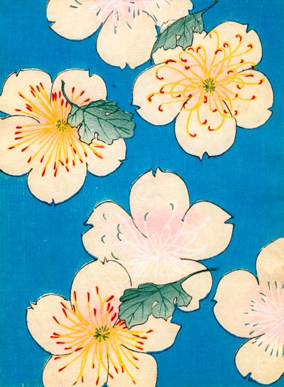 Colour Woodblock Print of Dogwood Blossoms by Japanese School