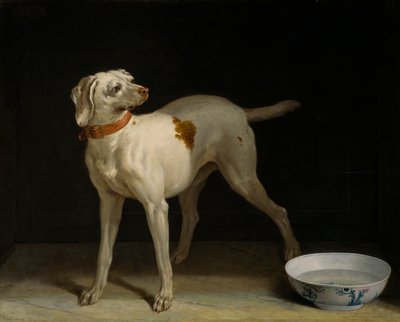 Dog by Jean Baptiste Oudry