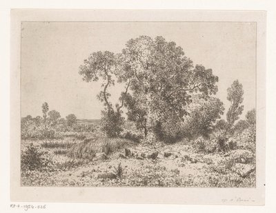 Group of Trees by a Swamp by Jean Alexis Achard