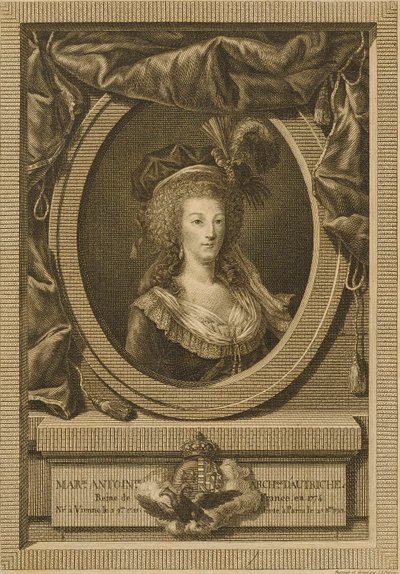 Marie Antoinette, Duchess of Austria by Jean Antoine Pierron