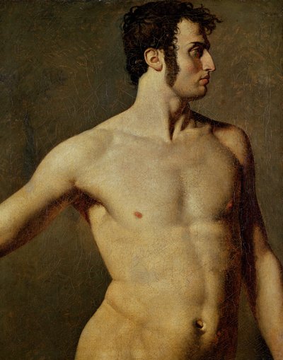 Male Torso by Jean Auguste Dominique Ingres